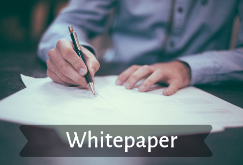 Whitepaper: Why Does Your Organization Need One?